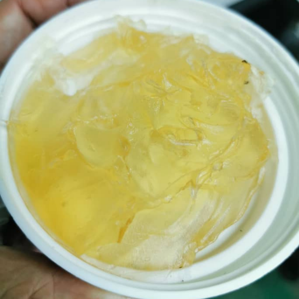 Untitled design (16)